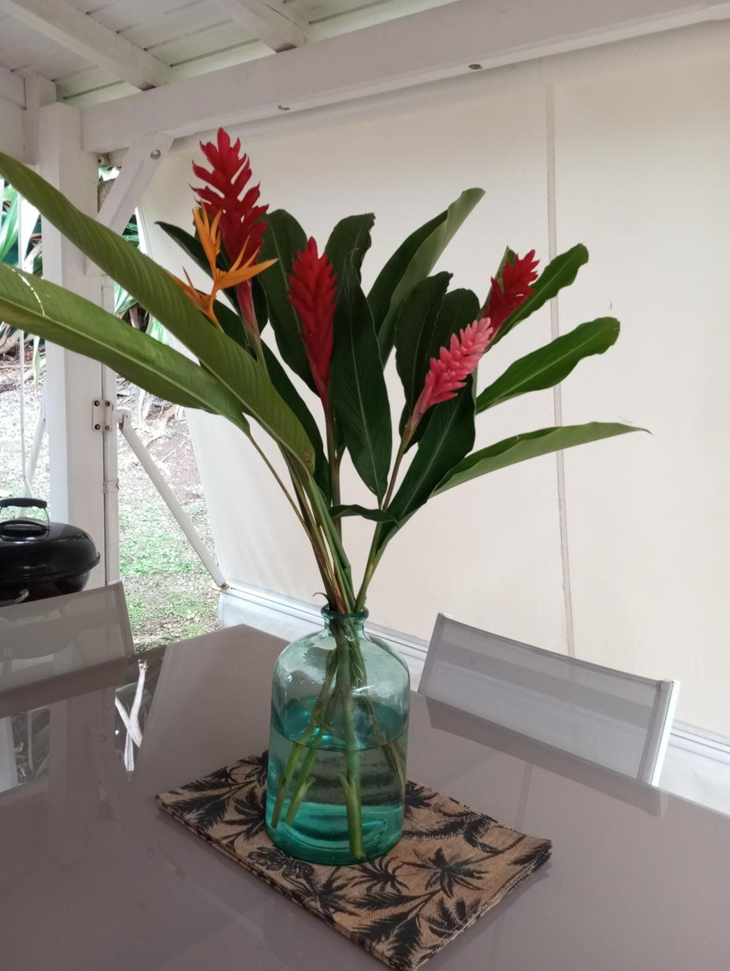 Bungalow Broceliande Le Gosier  Ngoại thất bức ảnh